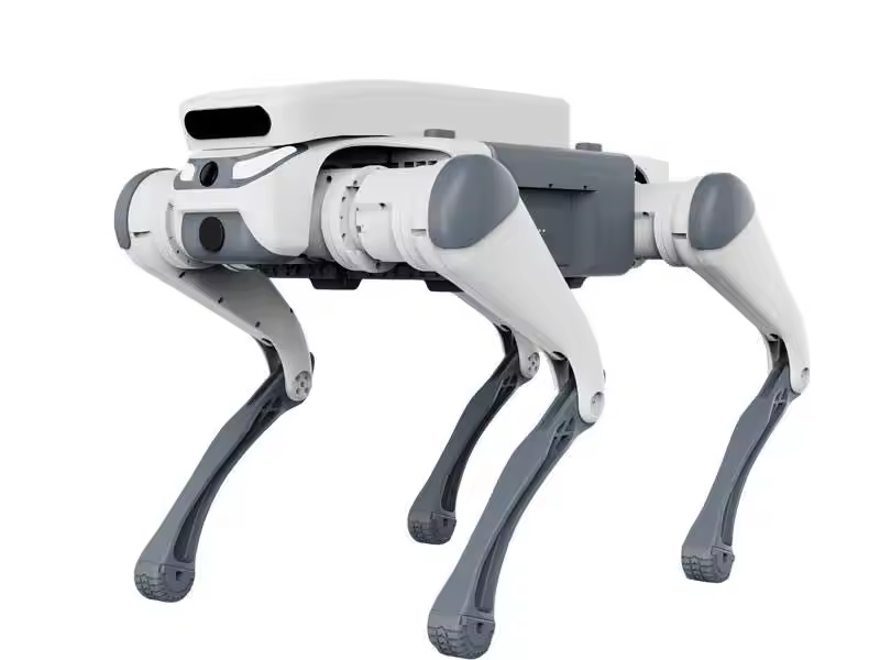 acrobatico telecomando giocatt - Remote Control Toys recensione e prezzo